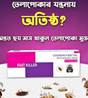 Fast Killer Cockroach Bait Gel